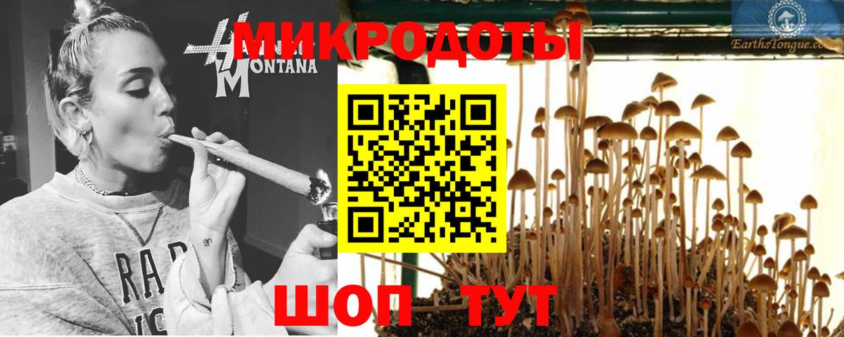 Псилоцибиновые грибы Magic Shrooms  Вход с VPN  Троицк 