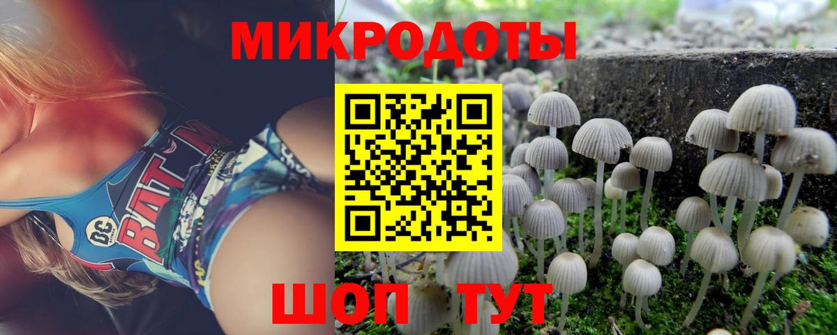 Галлюциногенные грибы прущие грибы Троицк